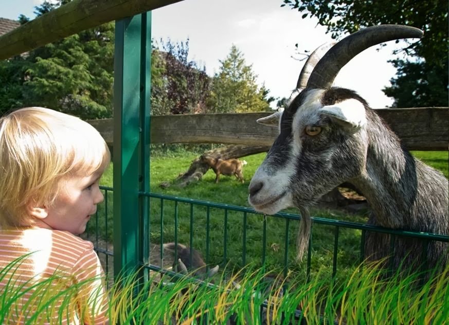 Campingpark Kerstgenshof